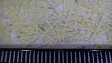 Load image into Gallery viewer, 10 mm Fiberglass Filaments